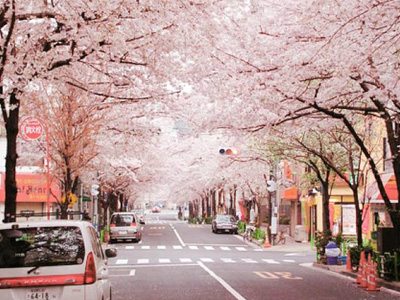 Why are there almost no trash cans in Japanese streets?